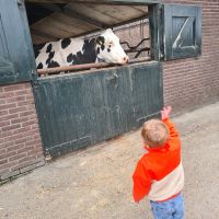 Peuters IKC Marang nemen kijkje op de boerderij!